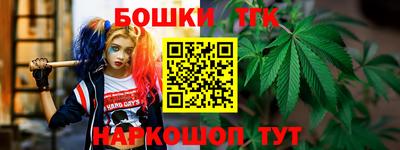 прущие крисы Камышлов