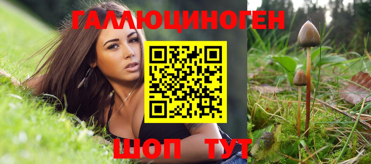 Псилоцибиновые грибы GOLDEN TEACHER  Вход с VPN  Крымск 